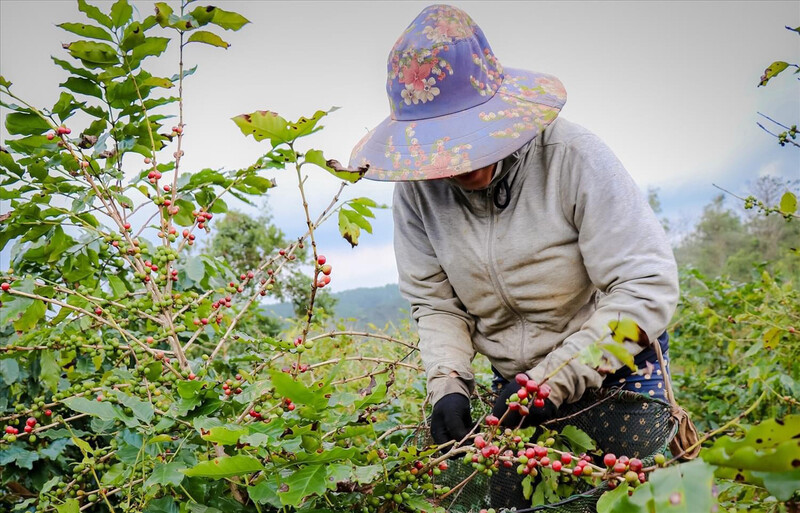 Đích đến cuối cùng là nâng cao thu nhập cho bà con vùng đồng bào dân tộc
