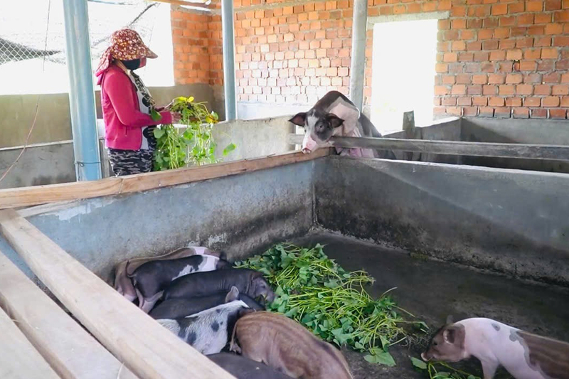 Nhờ các chính sách hỗ trợ giảm nghèo của Nhà nước mà đời sống của người dân từng bước cải thiện. Ảnh: Ngọc Toàn