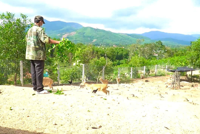 Công tác giảm nghèo trên địa bàn tỉnh Quảng Ngãi đã đạt được nhiều kết quả quan trọng và toàn diện. Ảnh: Ngọc Toàn