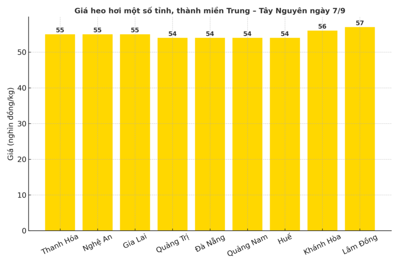 Biểu đồ giá heo hơi một số tỉnh, thành miền Trung – Tây Nguyên ngày 7/9.