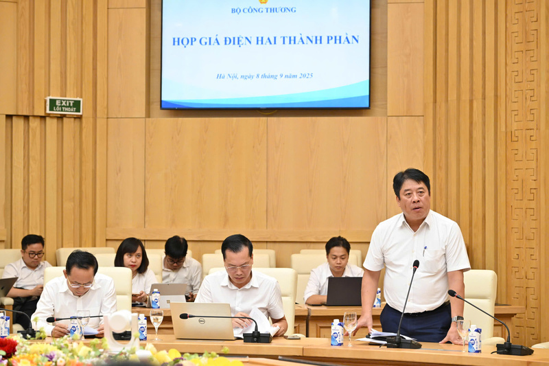 Ông Nguyễn Anh Tuấn - Tổng giám đốc EVN báo cáo.