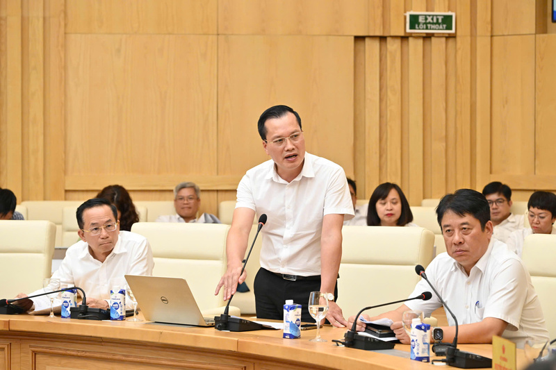 Đại diện đơn vị tư vấn báo cáo.