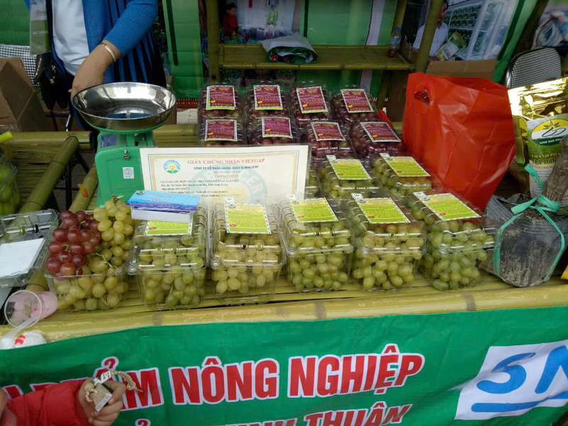 Sản phẩm nho của Hợp tác xã Kinh doanh dịch vụ Xuân Hải. Ảnh: NVCC