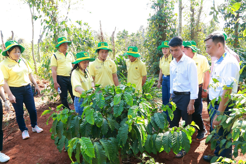 Chương trình canh tác cà phê thông minh góp phần thực hiện chiến lược xanh hoá và giảm phát thải khí nhà kính của Bình Điền, hướng tới nền nông nghiệp bền vững.