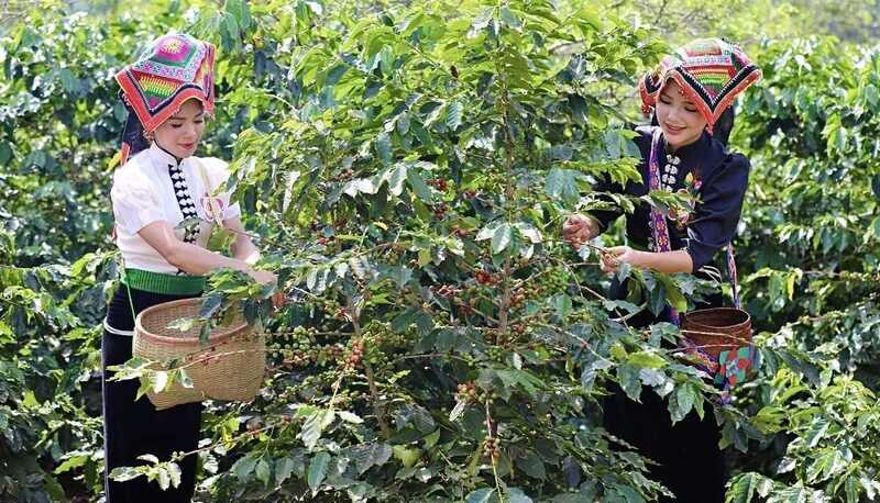 Giảm nghèo thông tin thu hẹp khoảng cách số giữa thành thị và miền núi