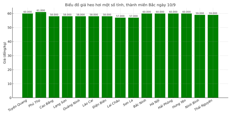 Biểu đồ giá heo hơi một số tỉnh, thành miền Bắc ngày 10/9.
