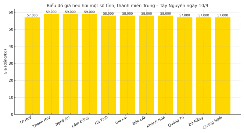 Biểu đồ giá heo hơi một số tỉnh, thành miền Trung – Tây Nguyên ngày 10/9.
