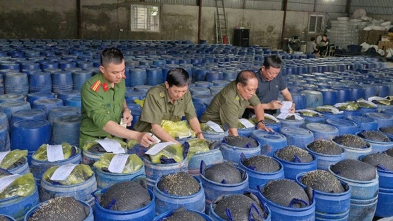 Công an tỉnh Nghệ An phát hiện, thu giữ 25 tấn giá đỗ bẩn, khởi tố 04 đối tượng về hành vi vi phạm quy định về an toàn thực phẩm. Ảnh: Công an tỉnh Nghệ An