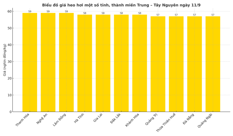 Biểu đồ giá heo hơi một số tỉnh, thành miền Trung – Tây Nguyên ngày 11/9.