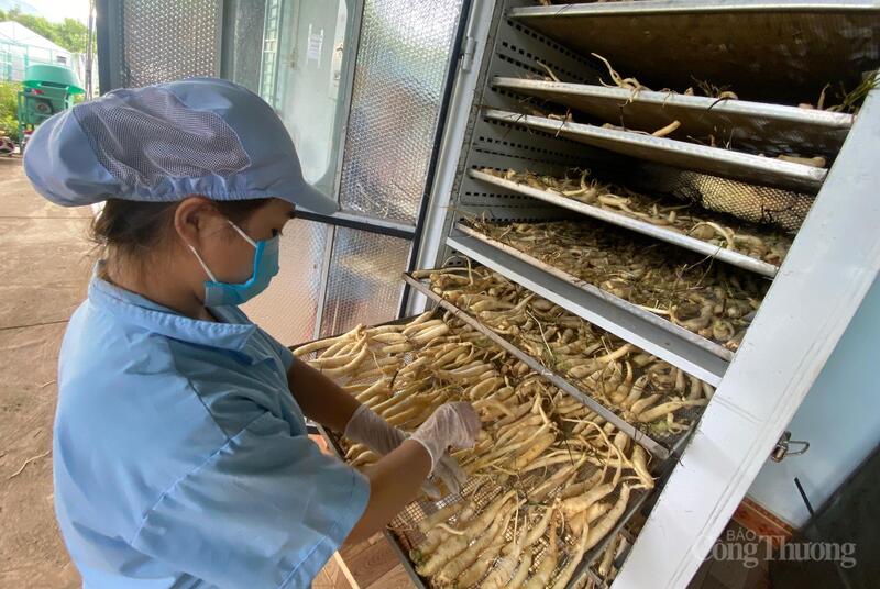 Khuyến khích ứng dụng công nghệ cao vào nông nghiệp khu vực miền núi
