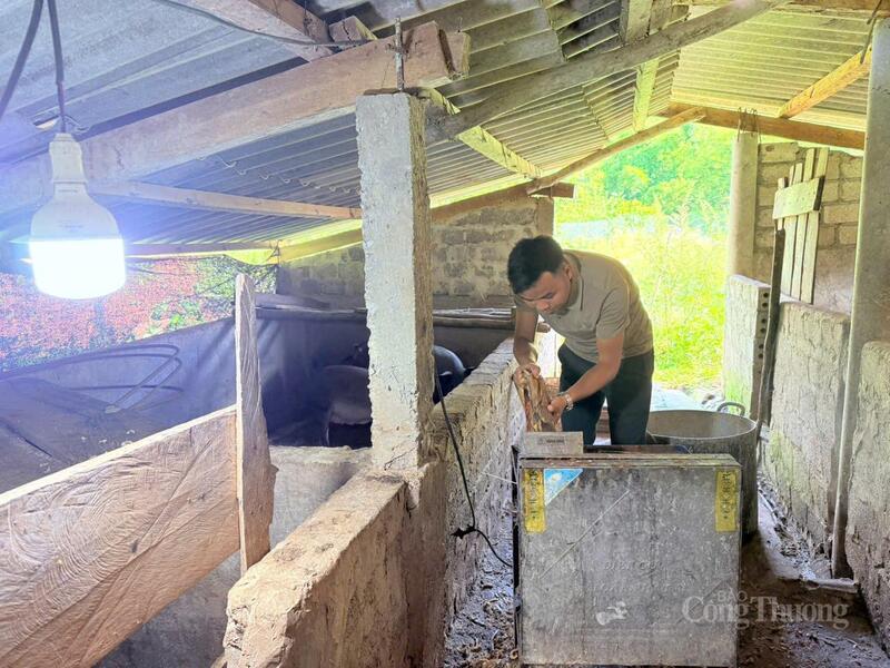Đinh Vộ sử dụng máy băm, cắt thức ăn cho lợn
