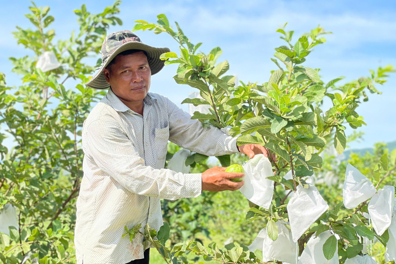 Ông Đinh Văn Thơ đã giúp gia đình mình thoát nghèo, đồng thời tạo công ăn việc làm cho người dân địa phương. Ảnh: N.Toàn