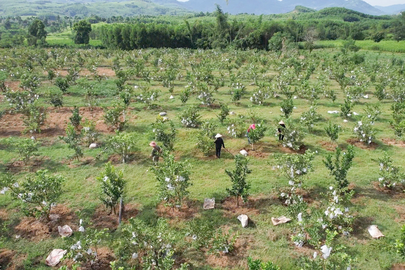 Các xã miền núi Quảng Ngãi đang chuyển mình nhờ Chương trình Mục tiêu quốc gia. Ảnh: N.Toàn