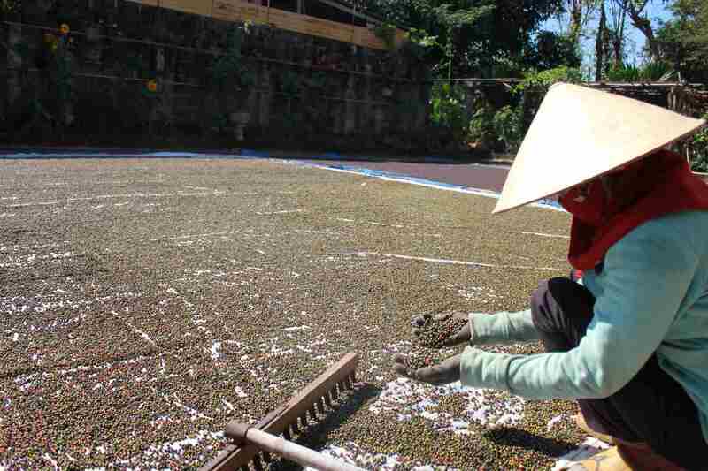 Hồ tiêu giúp cải thiện thu nhập người nông dân tại Đồng Nai