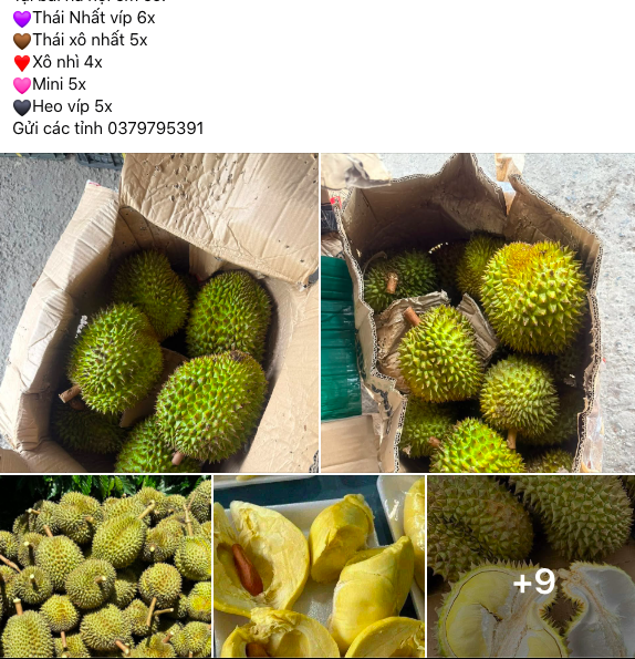 Tiểu thương tăng cường bán trên chợ online. Ảnh chụp màn hình