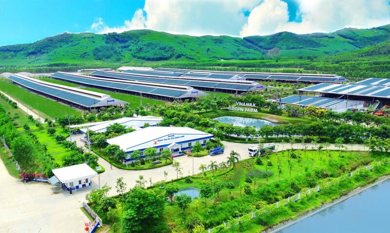 Vinamilk đã nỗ lực triển khai nhiều hoạt động nhằm chuyển đổi mô hình kinh tế tuyến tính sang kinh tế tuần hoàn