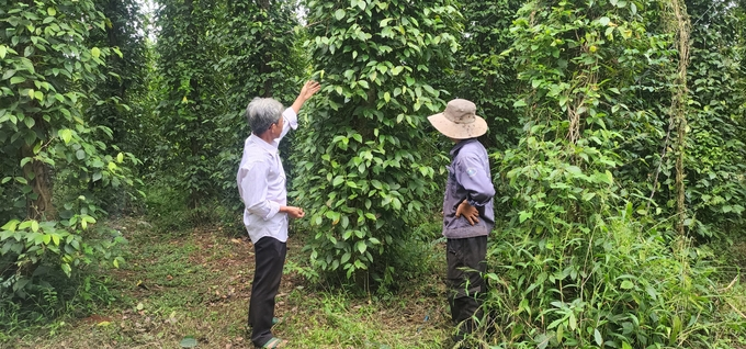 Người dân Đồng Nai đã thay đổi phương thức canh tác, chuyển sang canh tác hữu cơ. Ảnh: Trần Trung