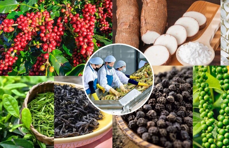 Nông, thủy sản Việt Nam hưởng lợi lớn từ EVFTA