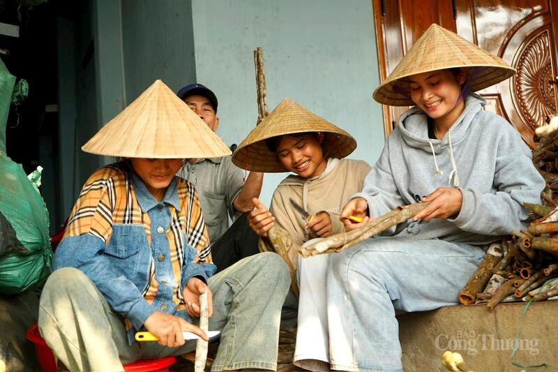 Nhiều địa phương ở Đà Nẵng nỗ lực giảm nghèo bền vững cho người dân tộc thiểu số