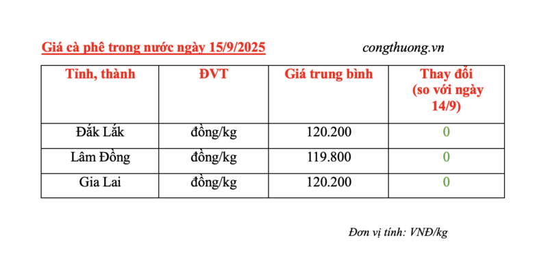 Bảng giá cà phê trong nước sáng nay 15/9