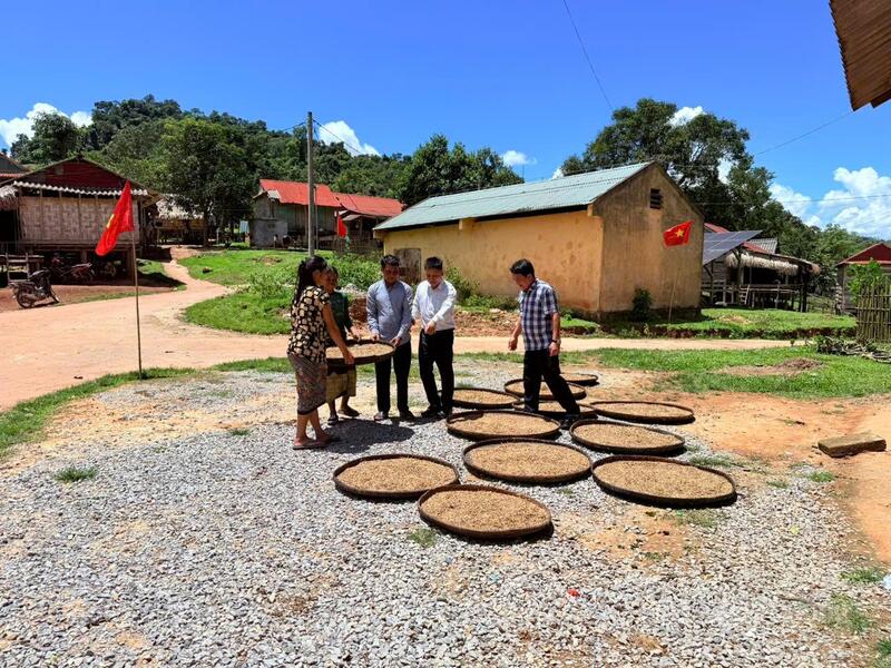 Bà con bản Cờ Đỏ phấn khởi vì lúa được mùa.
