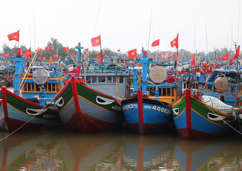 Thời gian qua, ngành hải sản Việt Nam, cùng với Chính phủ và chính quyền địa phương đã nỗ lực mạnh mẽ và liên tục để hiện đại hóa, nâng cao trách nhiệm và tăng cường công tác quản lý nghề cá.