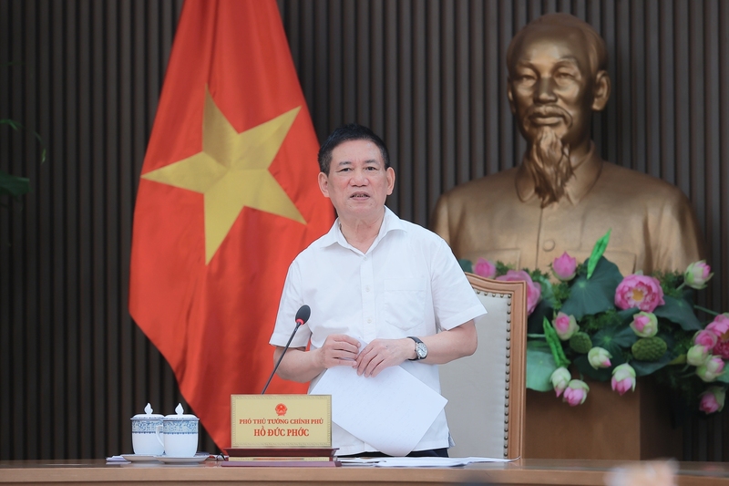 Phó Thủ tướng Chính phủ Hồ Đức Phớc phát biểu tại cuộc họp. Ảnh: VGP/Trần Mạnh