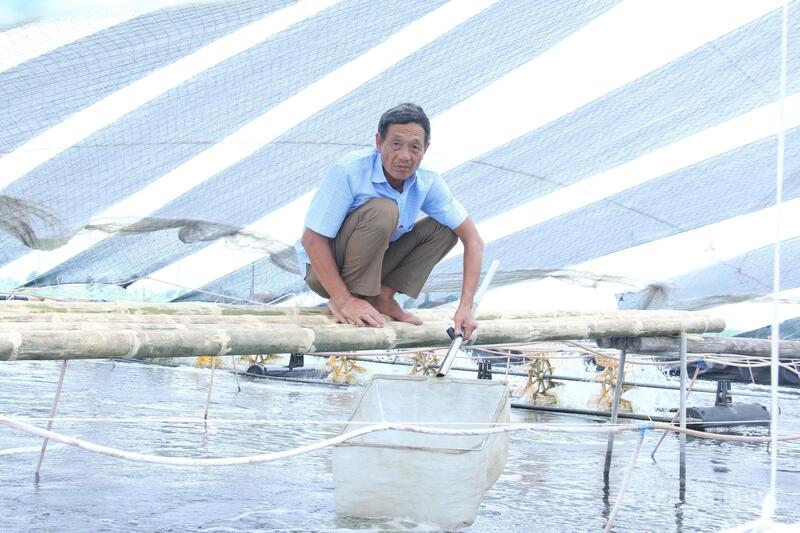 Gia đình ông Trương Văn Miên là hộ tiên phong trong Hợp tác xã Dịch vụ nông nghiệp thủy sản Hoằng Phong