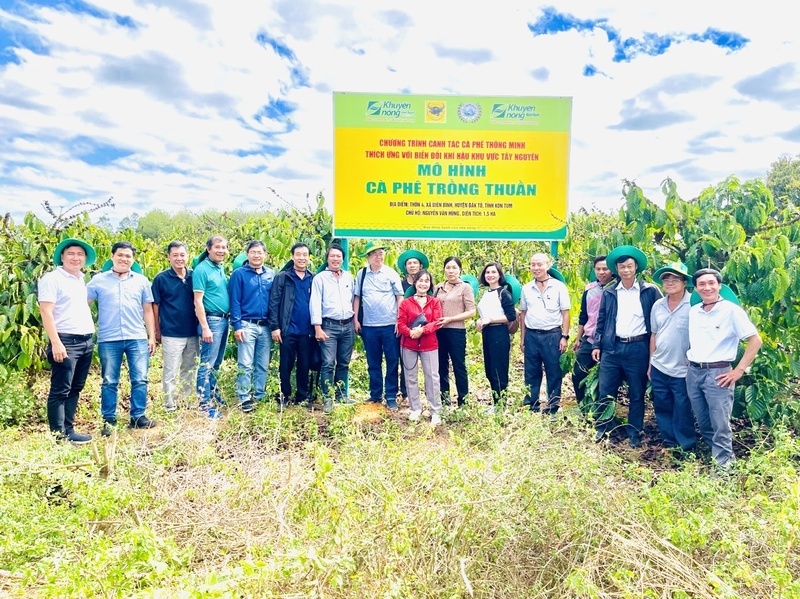 Công ty CP Phân bón Bình Điền hiện đang triển khai 15 mô hình trồng thuần và trồng xen với sầu riêng, hồ tiêu... tại 5 tỉnh Tây Nguyên (cũ) nhằm nghiên cứu tác động của hệ thống trồng xen đối với cây cà phê.