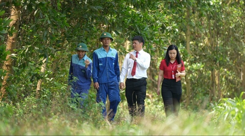 Cán bộ Agribank thẩm định dự án trồng rừng của doanh nghiệp