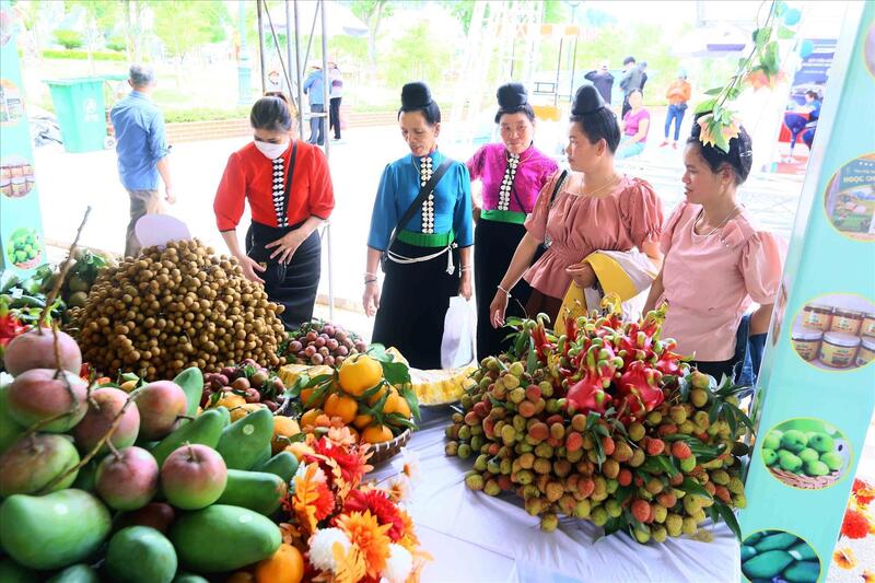 Doanh nghiệp giữ vai trò quan trọng trong thúc đẩy sản xuất, kết nối thị trường cho nông sản vùng cao. Ảnh: TTXVN