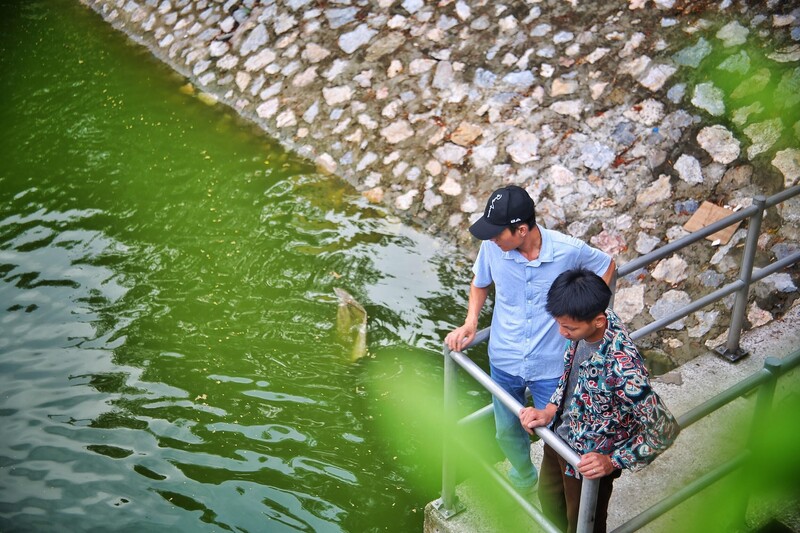 Nhiều người dân thích thú dừng xe, cúi xuống nhìn đàn cá đang bơi lội dưới dòng nước đã trong hơn trước.