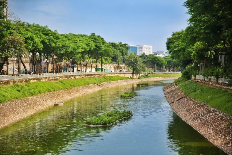 Sông Tô Lịch nhìn từ trên cao, nước trong xanh, các bè thủy sinh nổi tạo thêm mảng xanh cho dòng chảy.