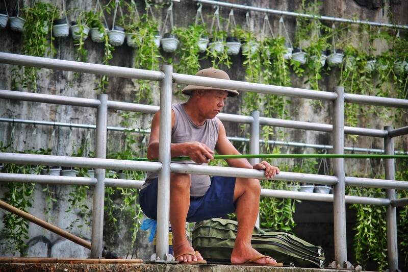 Sông Tô Lịch nước trong xanh, người Hà Nội thích thú câu cá - 12