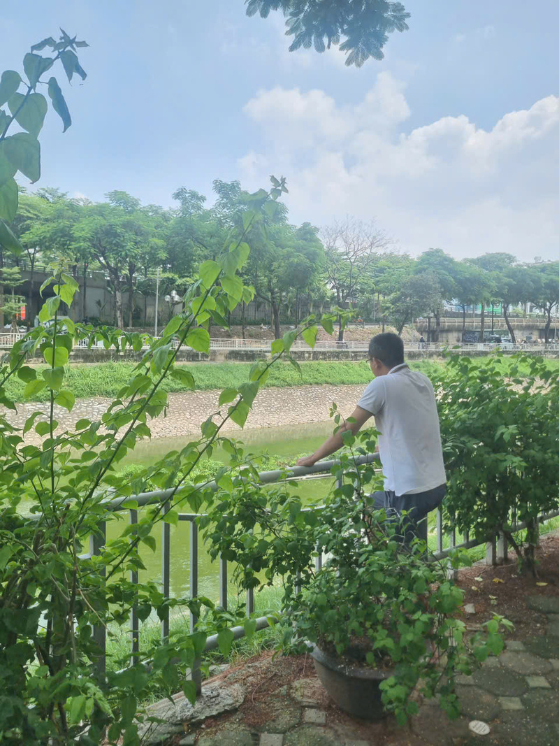 Sông Tô Lịch nước trong xanh, người Hà Nội thích thú câu cá - 10