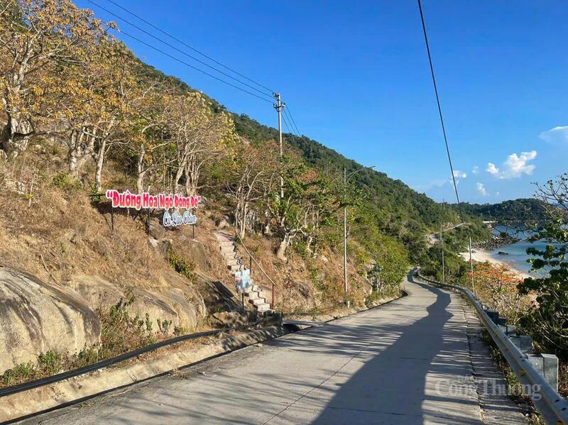 Chính quyền xã đã xây dựng một tuyến đường đặt tên là “Ngô đồng đỏ” dài hơn 300 m với kỳ vọng tăng thêm giá trị du lịch.