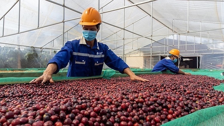 Các quốc gia Hồi giáo đông dân như Indonesia, Malaysia... đang có nhu cầu nhập khẩu nhiều mặt hàng nông sản Việt vì đạt tiêu chuẩn Halal, trong đó có cà phê - Ảnh minh họa