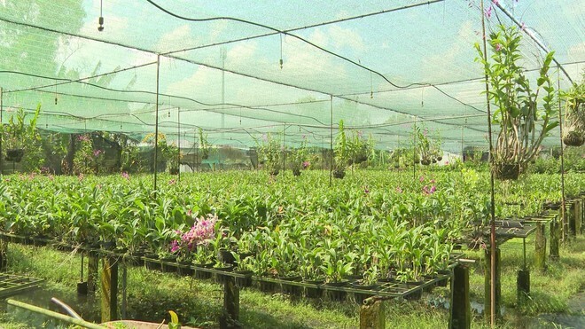 Xây dựng công trình phụ trợ trên đất nông nghiệp. Ảnh minh họa