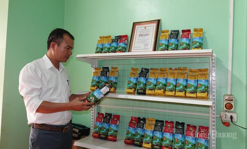 Khi chè Tán Ma được công nhận sản phẩm OCOP, đó là một bước ngoặt với bà con vùng đồng bào thiểu số Hiền Kiệt