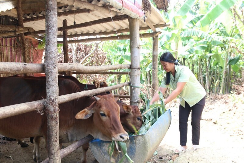 Lạng Sơn đa dạng hóa sinh kế, phát triển các mô hình giảm nghèo.