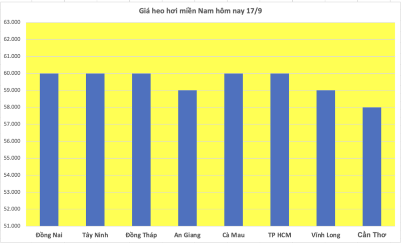 Giá heo hơi hôm nay 17/9/2025: Giảm đồng loạt tại nhiều nơi - 3