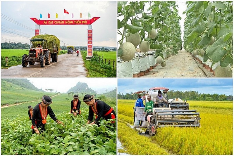 Trong những năm qua, tỉnh Thái Nguyên chú trọng phát triển sinh kế và nâng cao chất lượng sống cho người dân. Ảnh: TL