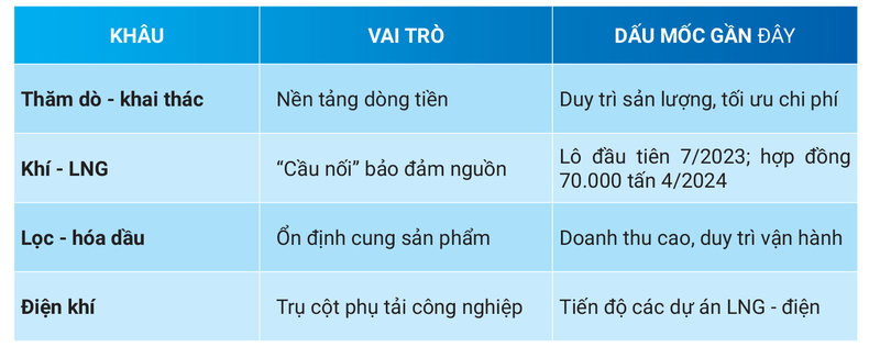 Bảng 3: Chuỗi giá trị mở rộng của PVN (định tính).