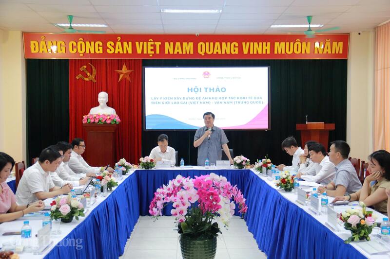 Thứ trưởng Nguyễn Sinh Nhật Tân phát biểu chỉ đạo hội thảo. Ảnh: Thanh Tuấn