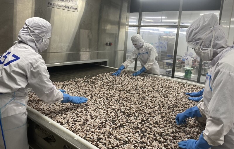 Đẩy nhanh gỡ thẻ vàng IUU của EU, tạo thuận lợi cho xuất khẩu thủy sản, trong đó có xuất khẩu cá ngừ. Ảnh: Minh Anh