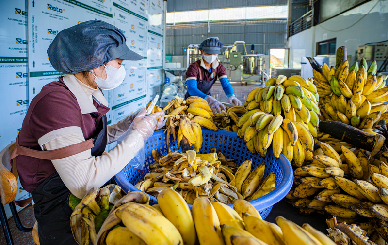 Các sản phẩm của HTX Sơn Bua, vốn quen thuộc trong đời sống đồng bào Ca Dong, nay đã trở thành hàng hóa có giá trị. Ảnh: HTX Sơn Bua