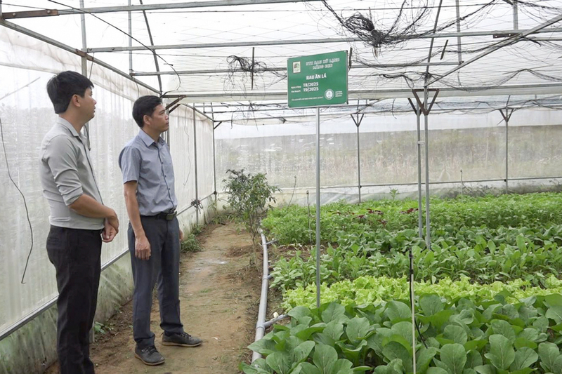 HTX Rau xứ lạnh Măng Đen sẽ tận dụng phụ phẩm từ sản xuất, nâng cao giá trị nông sản và tạo sinh kế bền vững cho người dân địa phương. Ảnh: UBND xã Măng Đen