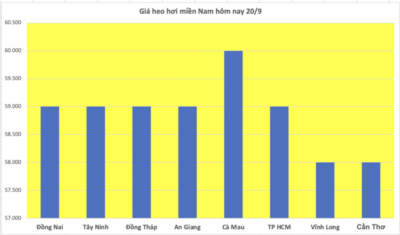 Giá heo hơi hôm nay 20/9/2025: Đi ngang trên cả 3 miền - 3