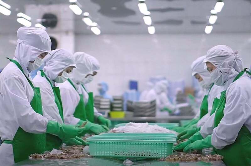 Xuất khẩu thủy sản của Việt Nam sang thị trường RCEP sẽ tiếp tục tăng trong thời gian tới khi khả năng cạnh tranh của hàng thủy sản Việt Nam ngày càng tăng - Ảnh: Bình Nguyên