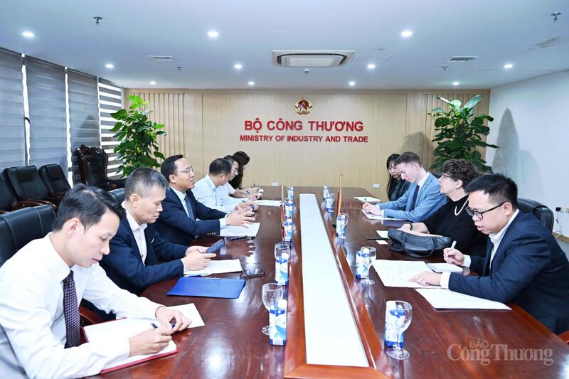 Toàn cảnh buổi làm việc giữa Thứ trưởng Nguyễn Hoàng Long và Đại sứ Cộng hòa Liên bang Đức tại Việt Nam.